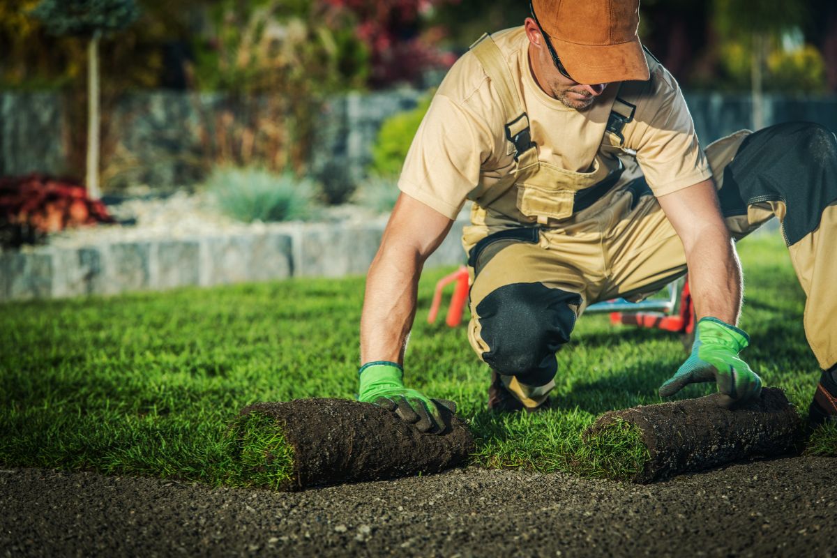 Generate consistent landscaping leads with SEO