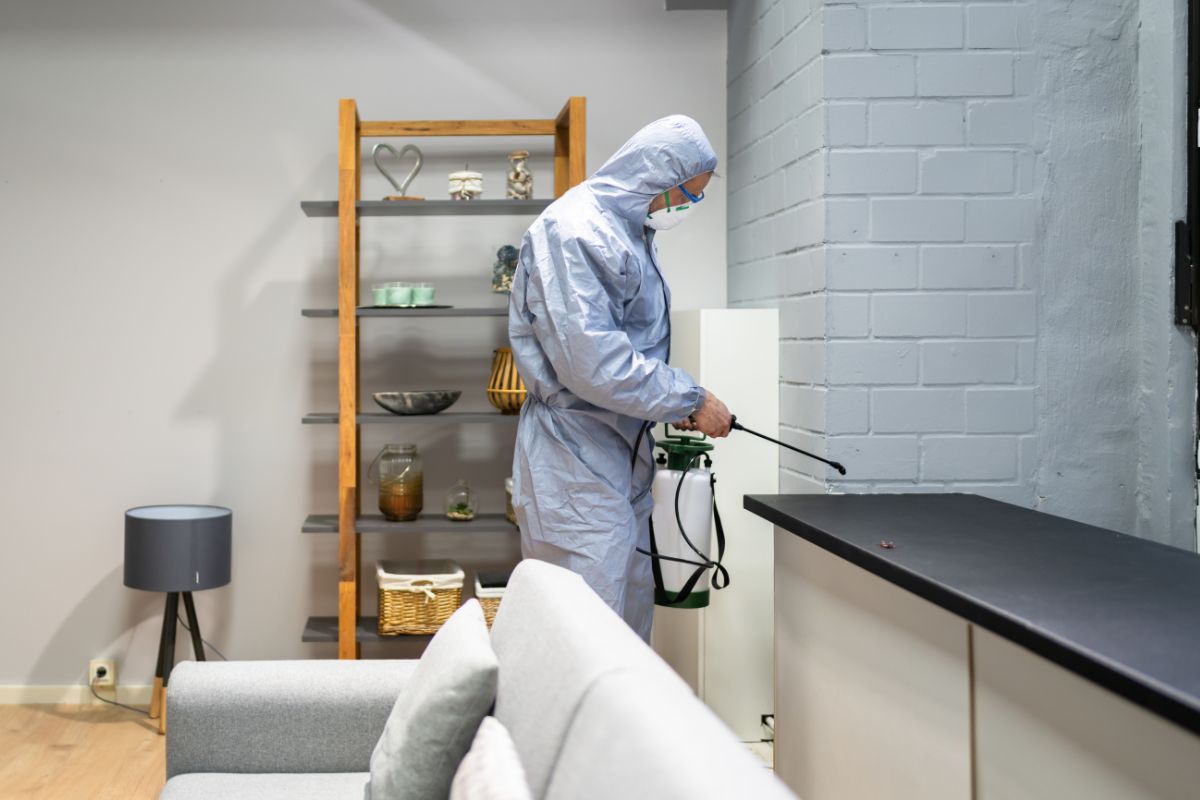 Commercial pest control service using professional equipment and safety measures