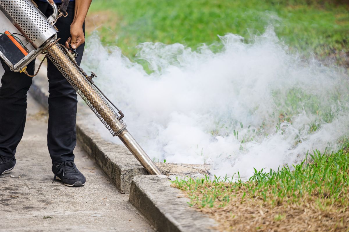 Outdoor pest control spraying service to eliminate insects and pests