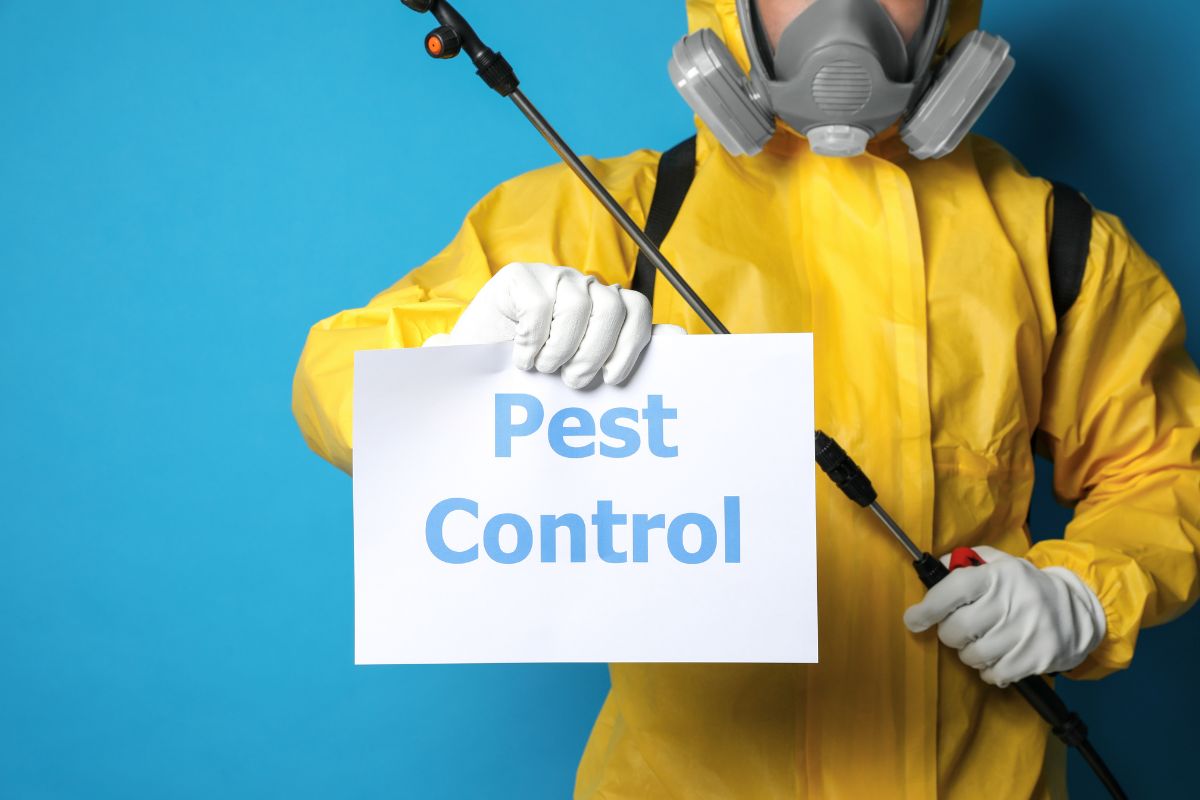 Certified pest control professional providing safe and effective pest control services