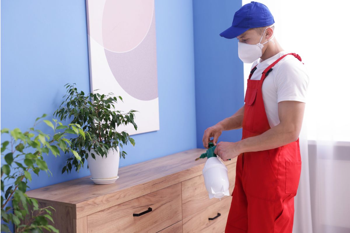 Residential pest control service ensuring a clean and pest-free home